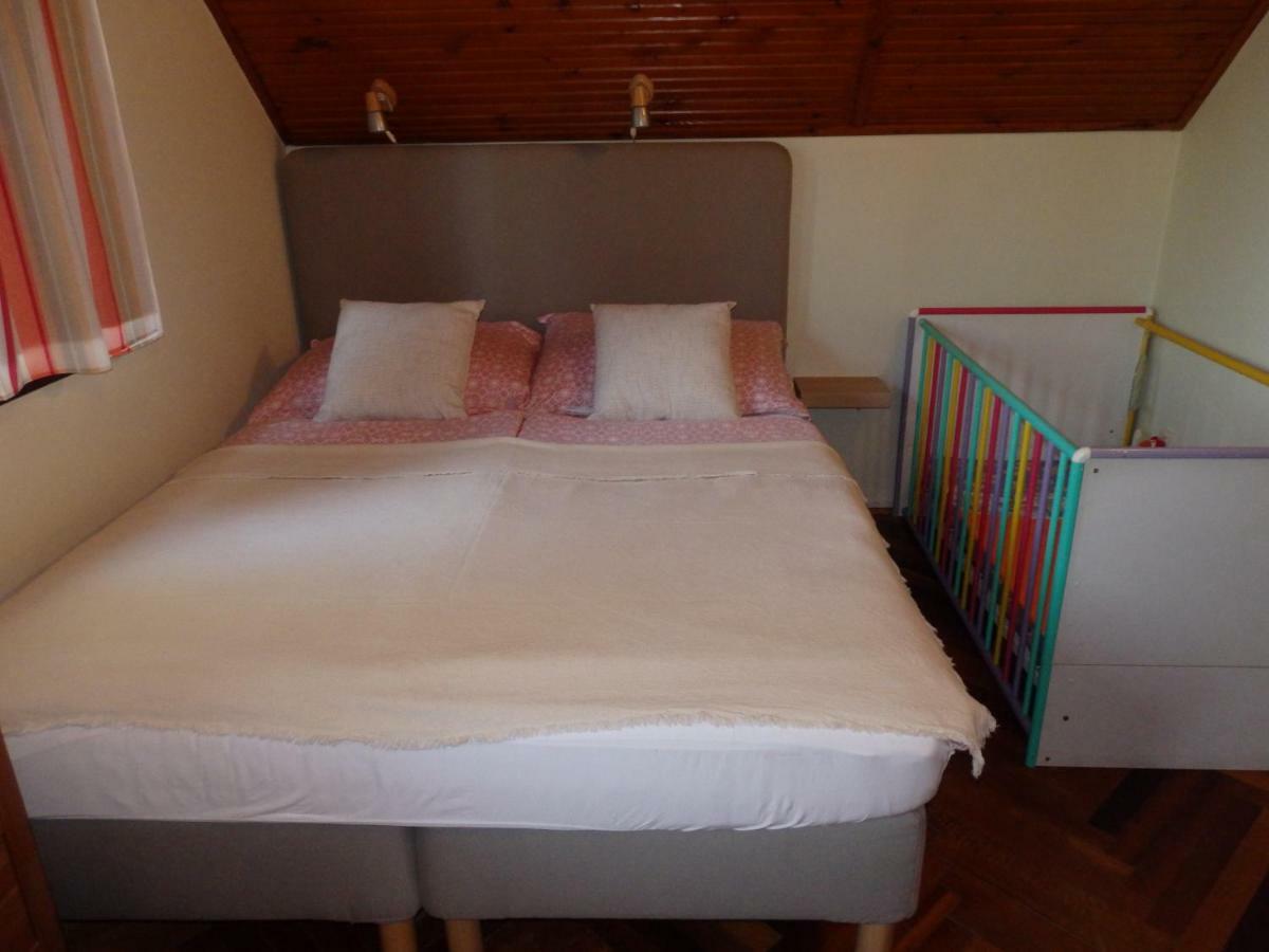 Orgona Vendeghaz Villa แวแลนแซ ภายนอก รูปภาพ