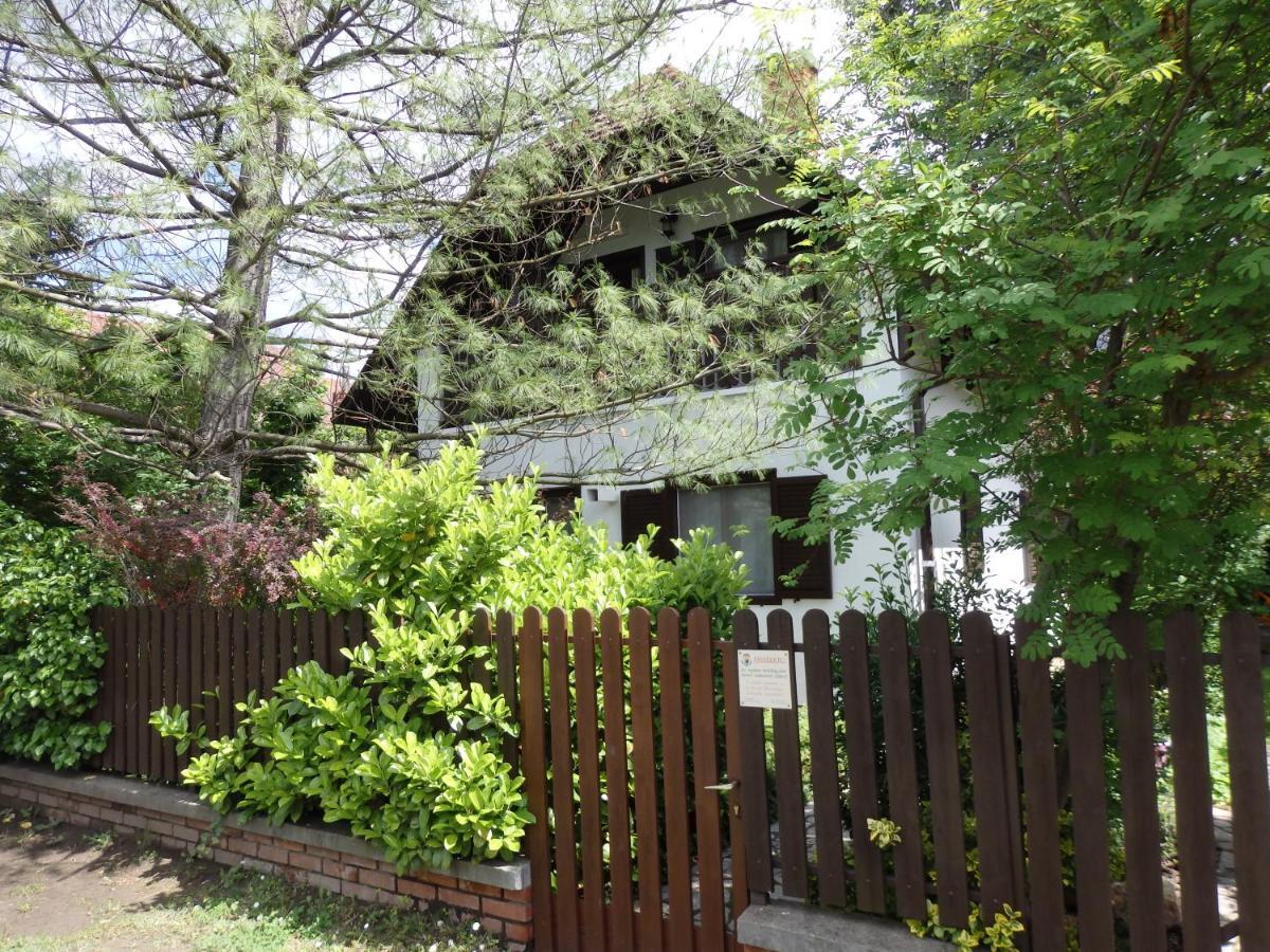 Orgona Vendeghaz Villa แวแลนแซ ภายนอก รูปภาพ